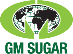 GM Logo